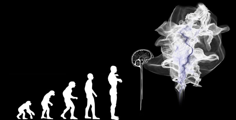 evolution