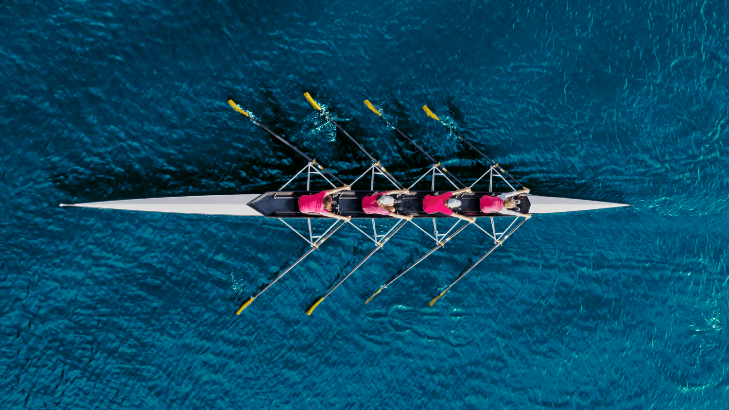 EXTENDED TEAM MODEL