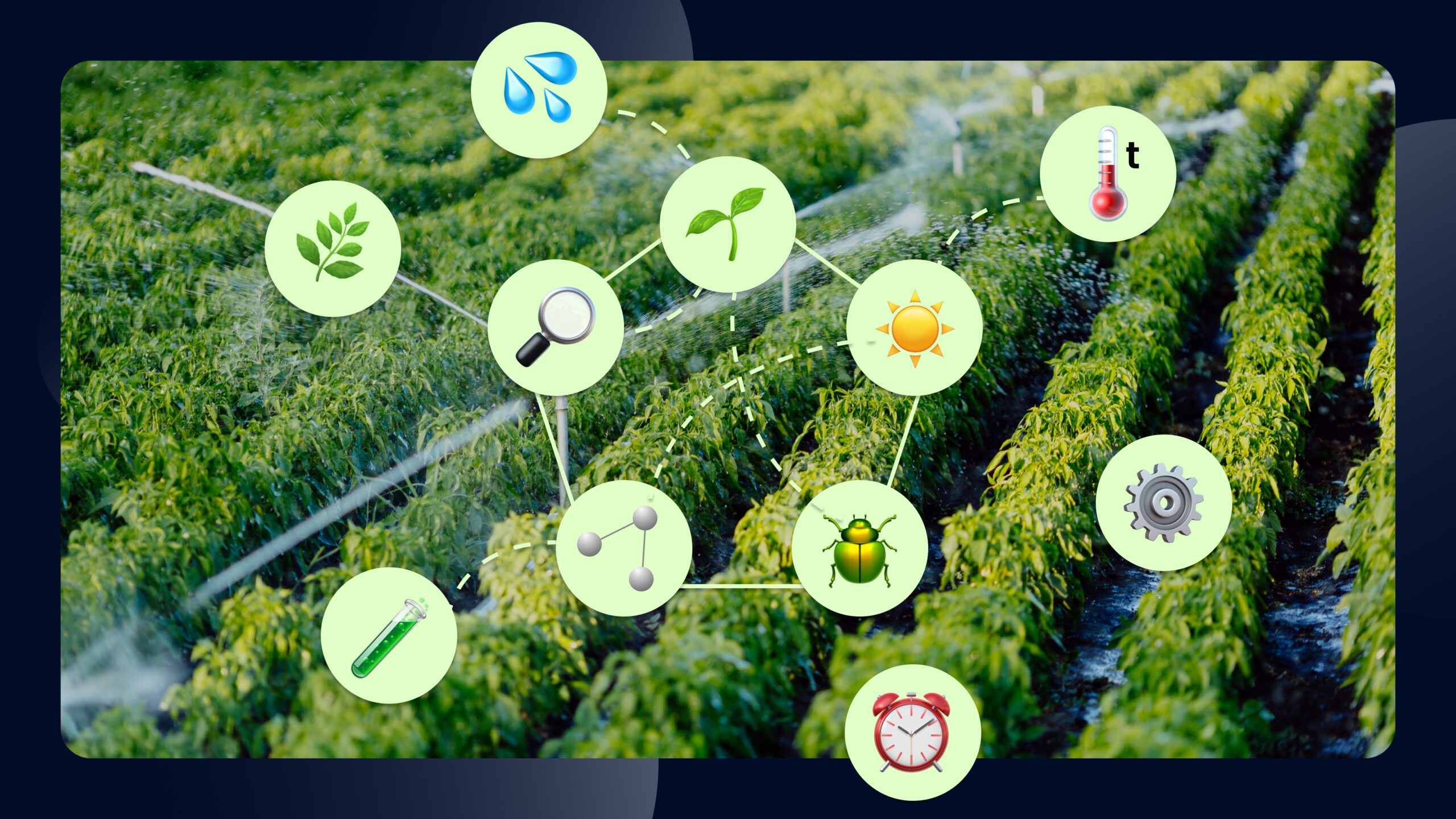 Irrigation management software