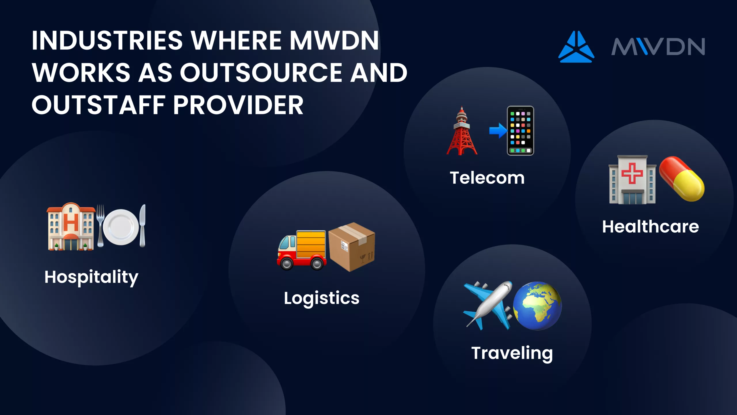 mecial IT outsourcing niches